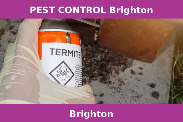 PEST CONTROL Brighton